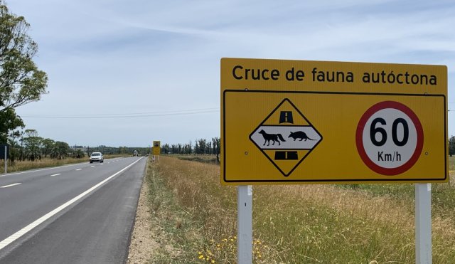 animalitos