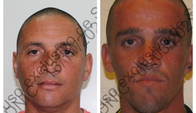 COLLAGE de detenidos