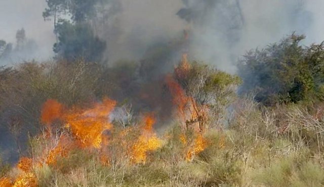 Incendio GREGORIO AZNAREZ