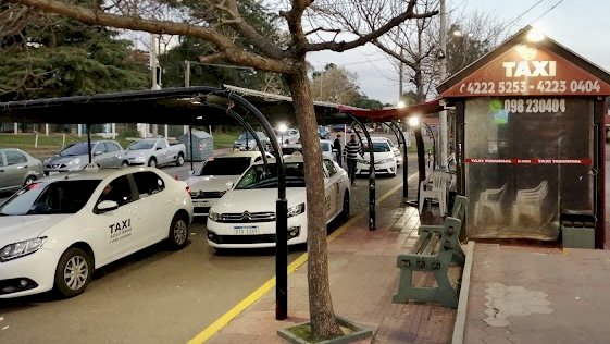 Taxis terminal Maldonado