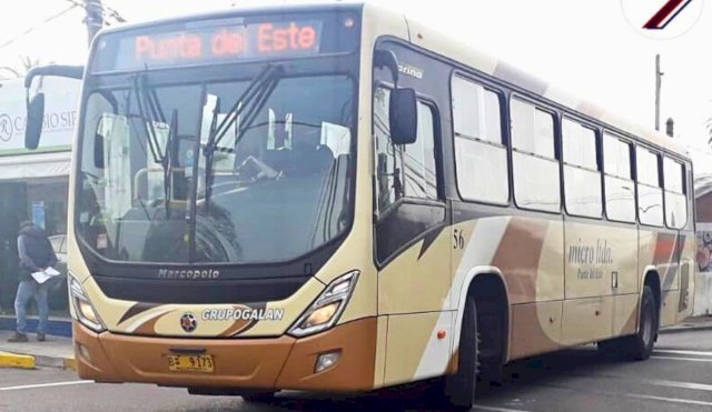 Micro Ltda