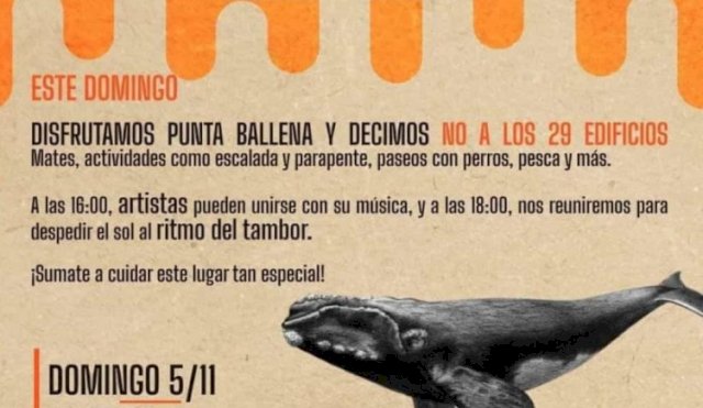Puntaballena