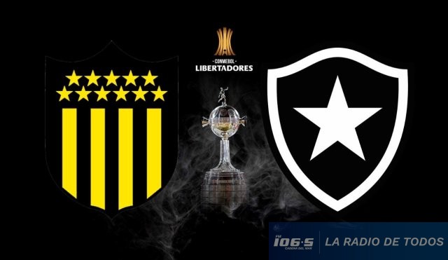 Peñarol vs Botafogo