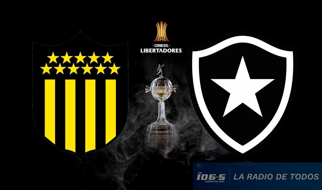 Peñarol vs Botafogo