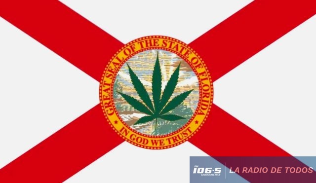 MARIHUANA FLORIDA