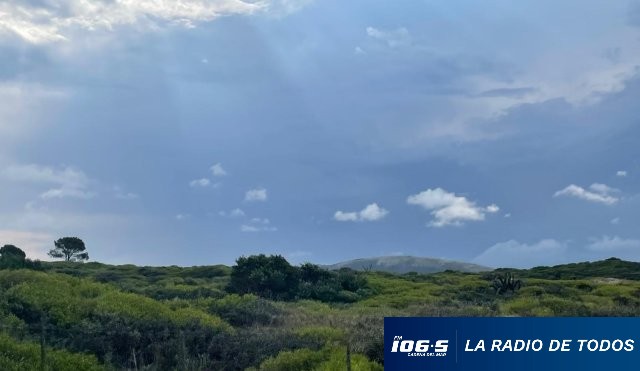 campo-tiempo