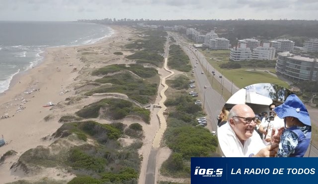 abella ambiente
