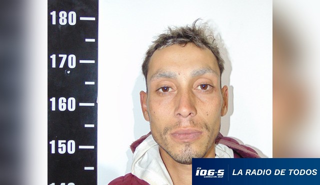 PEREIRA ALVEZ
