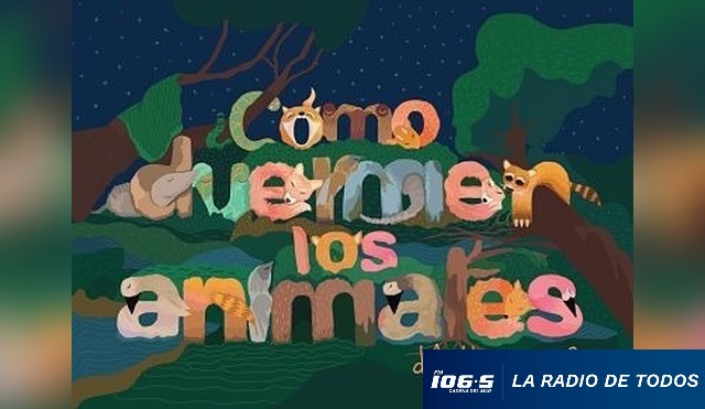 como duermen