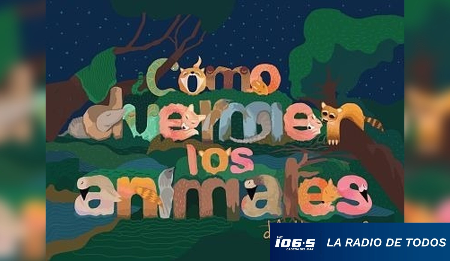 como duermen