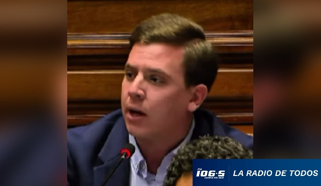 DIPUTADO GARLO