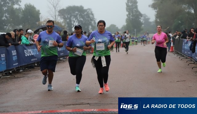 Recorre las flores
