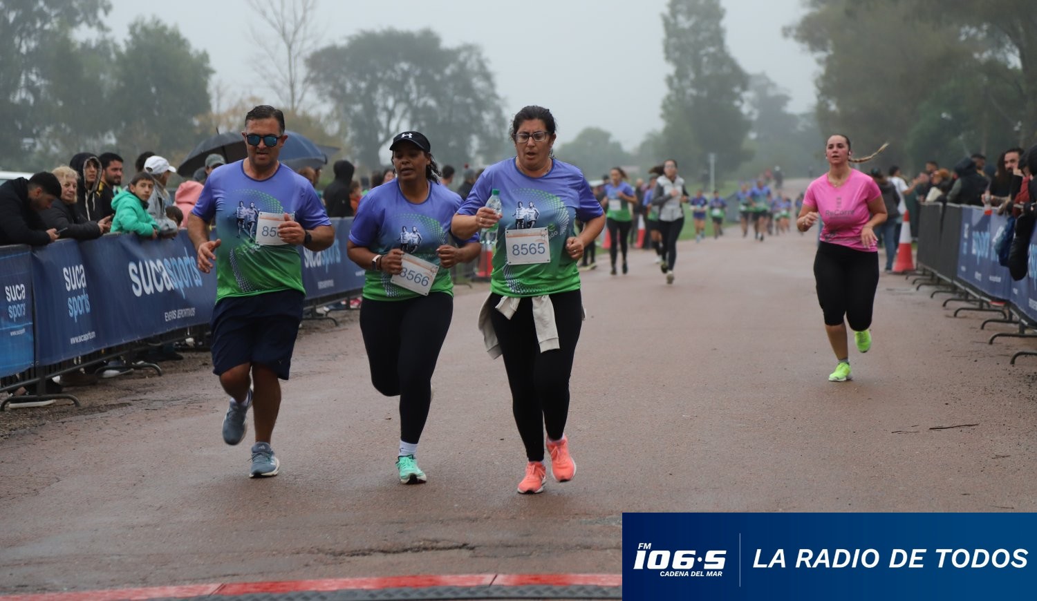 Recorre las flores