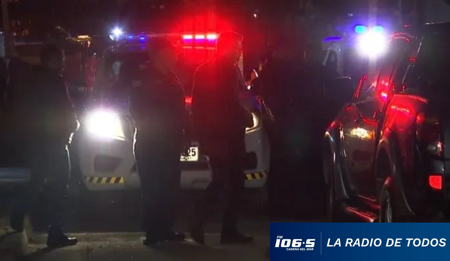 policiales