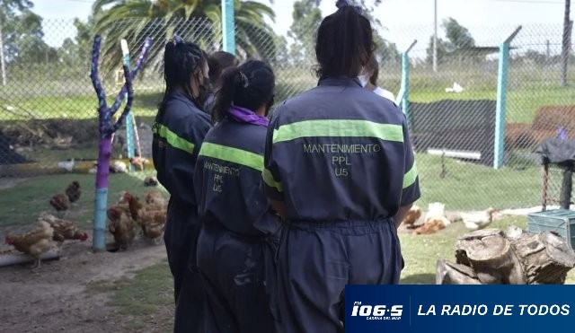 CARCEL DE MUEJRES