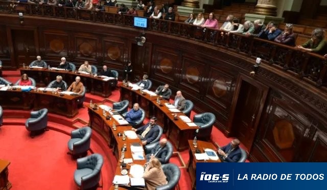 SENADORES CAJA PROFESIONAL