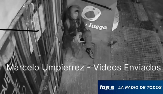 video-robo