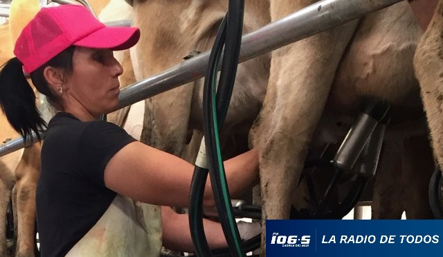 LECHE PARO