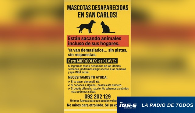AFICHE REDES
