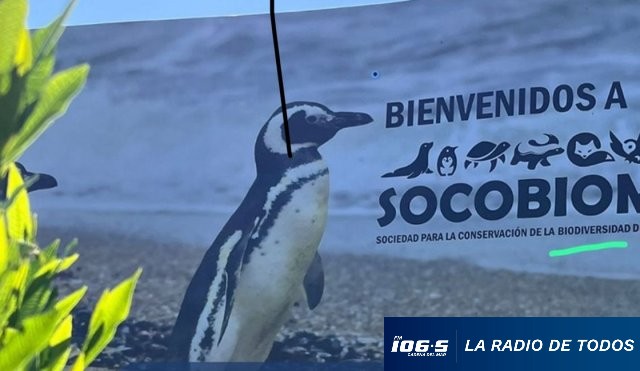 Socobioma
