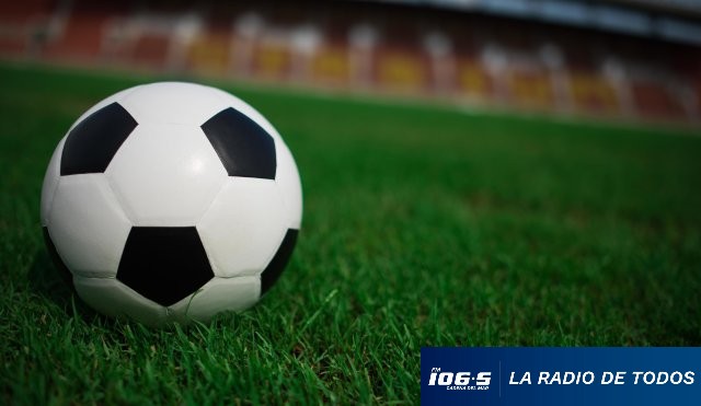 PELOTA CESPED