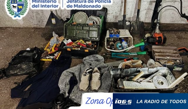 Ratero Cerro Pelado