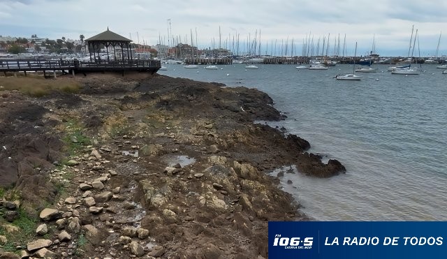 Puerto PDE