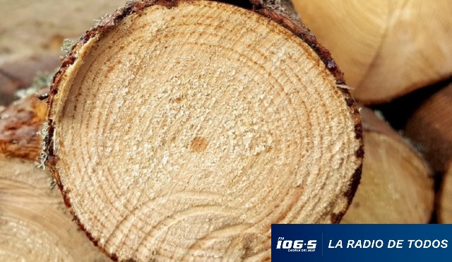 Madera