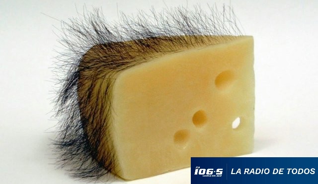 queso-met