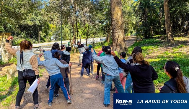 cultura en movimiento