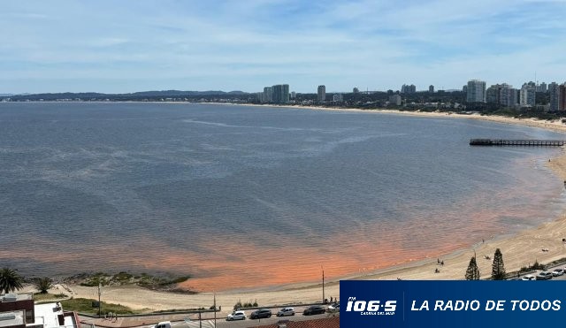 Noctilucas-Punta-del-ESte
