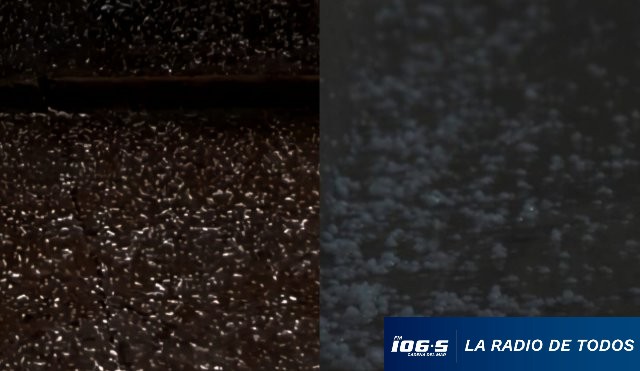 Granizo San Carlos
