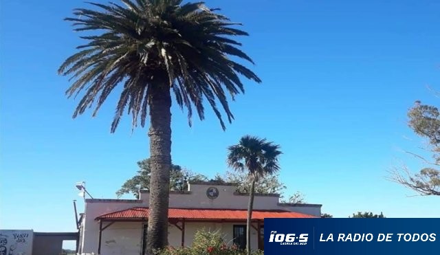 biblioteca de piriápolis