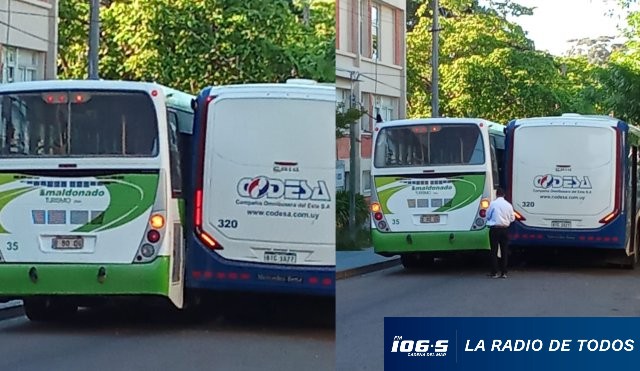 leve omnibus siniestro