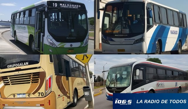 Ómnibus Maldonado PDE recorridos 