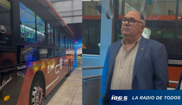 Abella de pasajero de bus