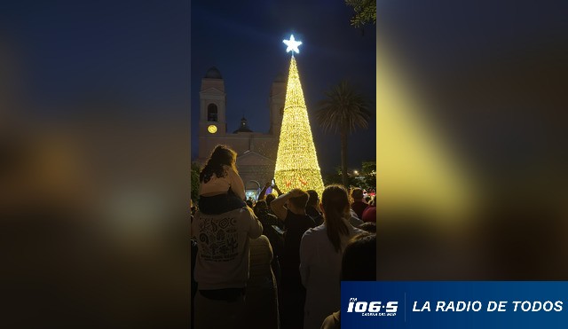 pino de navidad malddonado