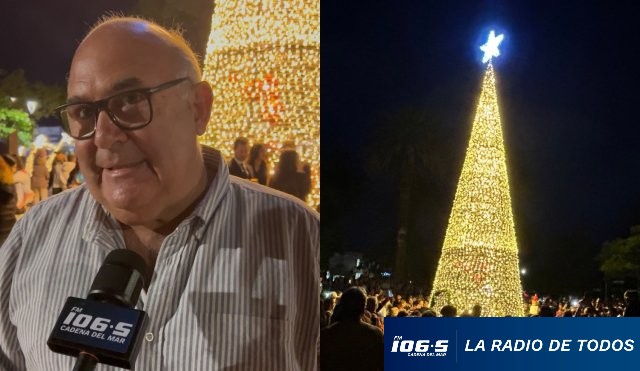 Árbol navideño Maldonado 