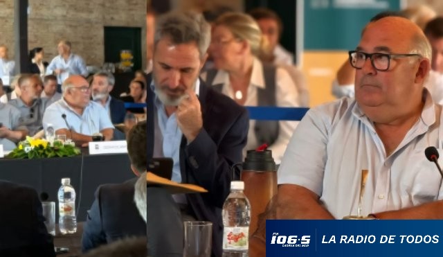 abellla villegas colonia