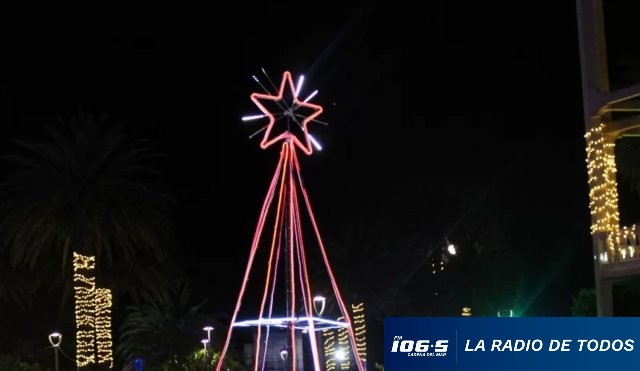 ARBOL NAVIDAD PAN DE AZÚCAR