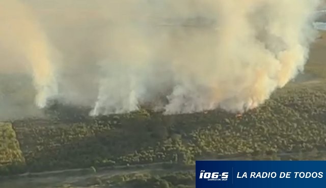 Parque del Plata incendio 