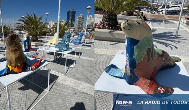 Lobo marino Pilar Lacalle Pou