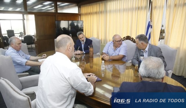 Orsi Abella Villegas