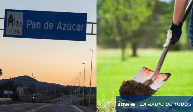 Pan de Azúcar Palazos 