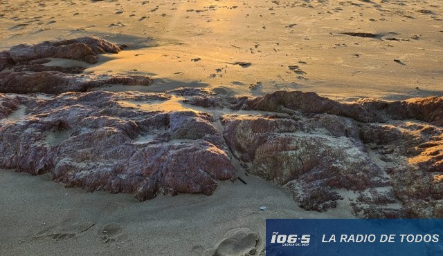 contaminación playas