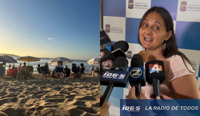 Virginia Villarino Playas