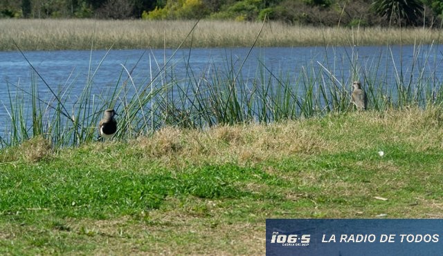 José Ignacio ambiente 