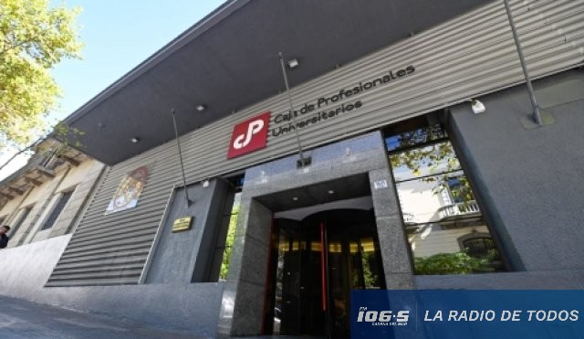 CAJA DE PROFESIONALES  