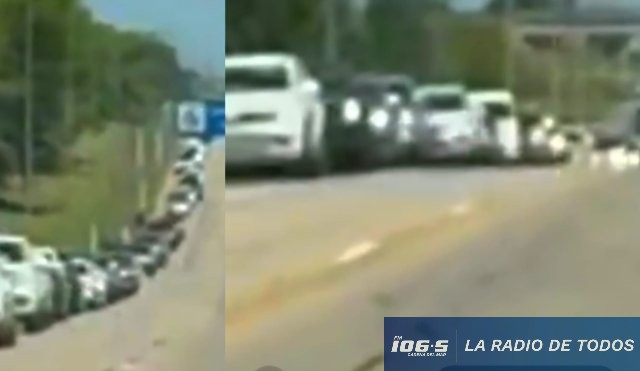 Recambio Fray Bentos 