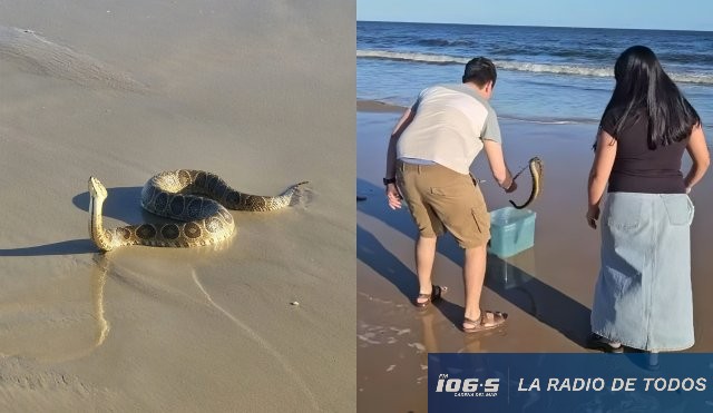 Serpiente en Carrasco 
